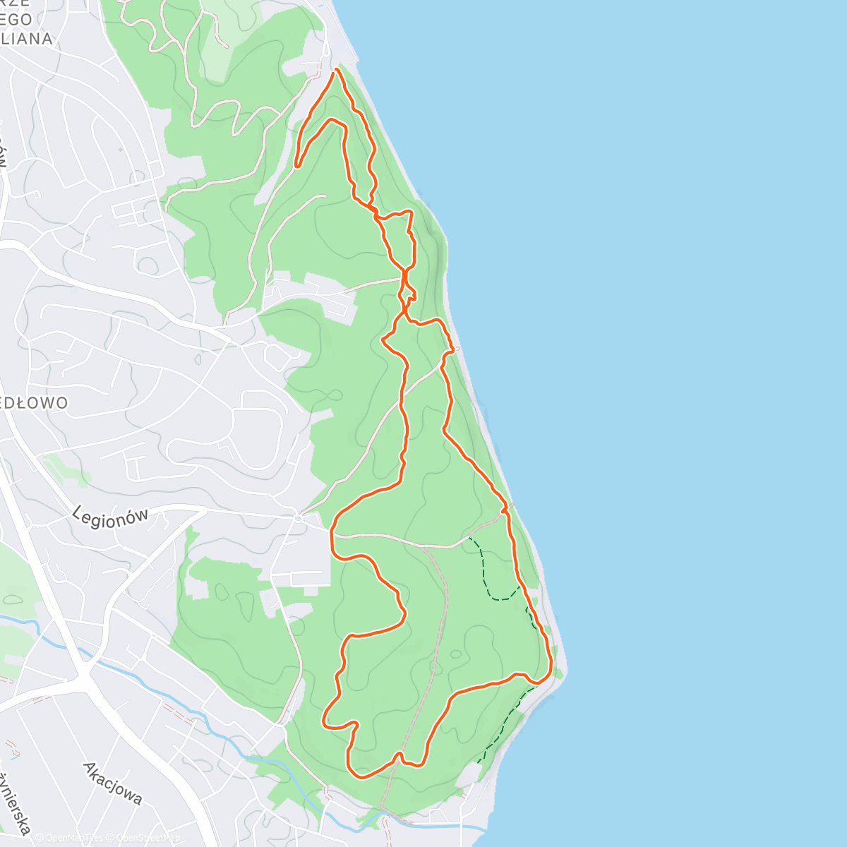 Карта физической активности (Morning Trail Run)