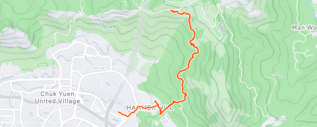 Map of the activity, Kowloon peak from Buddhist nunnery