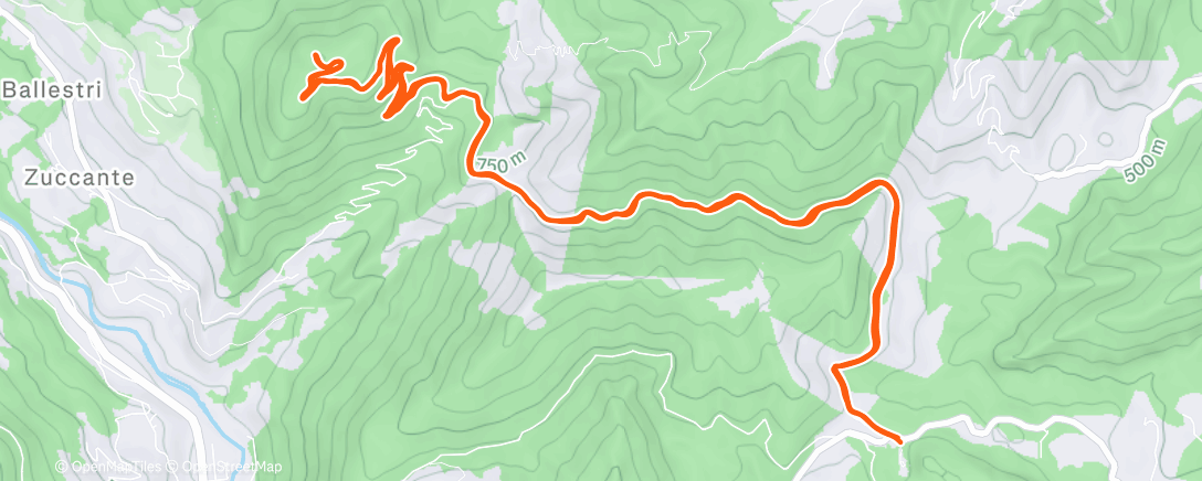 Map of the activity, Sessione di trail running mattutina