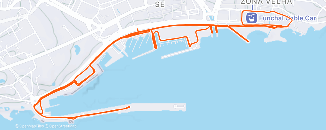 Карта физической активности (Funchal Group Run - Waterfront Run - Madeira Island, Portugal)