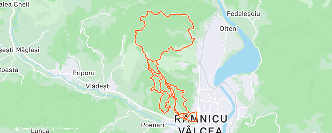 Карта физической активности (Morning Trail Run)