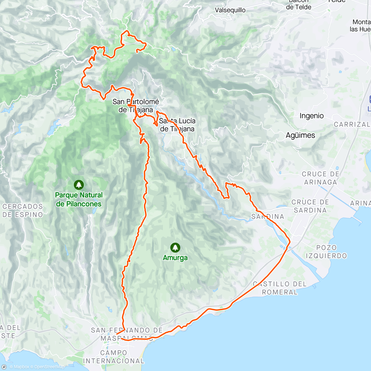 Map of the activity, Naar Pico de las Nieves
