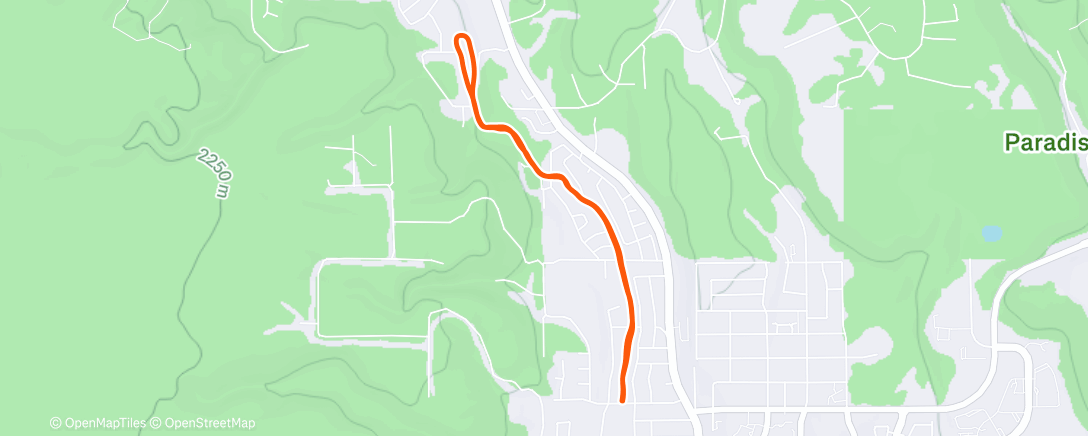 Mapa de la actividad (Morning Run)