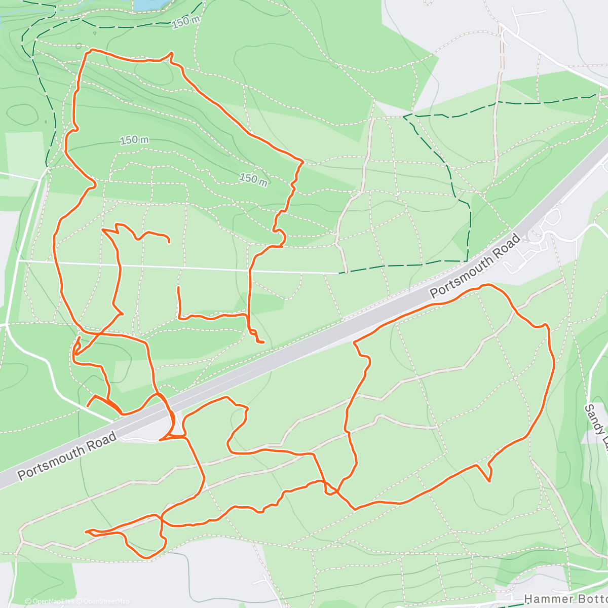 Map of the activity, MLS Bramshott Orienteering (Blue Course)