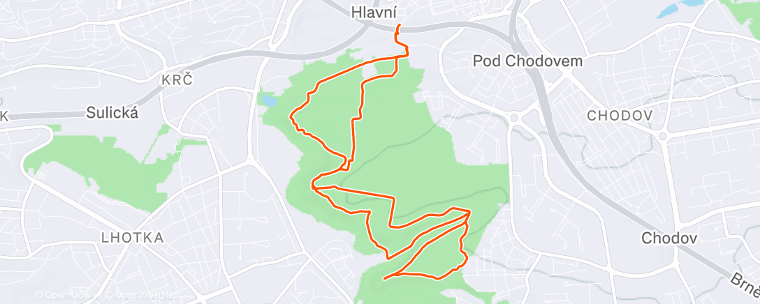 Карта физической активности (Morning Trail Run)