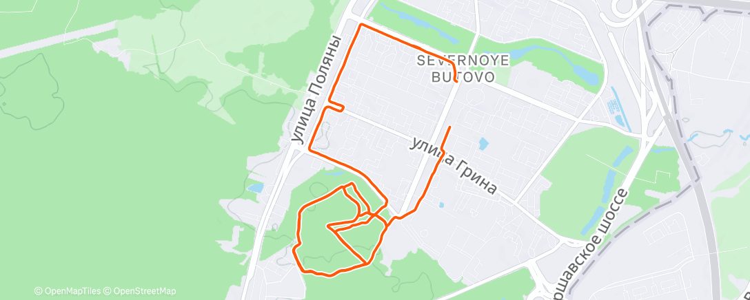 Карта физической активности (Morning Run)