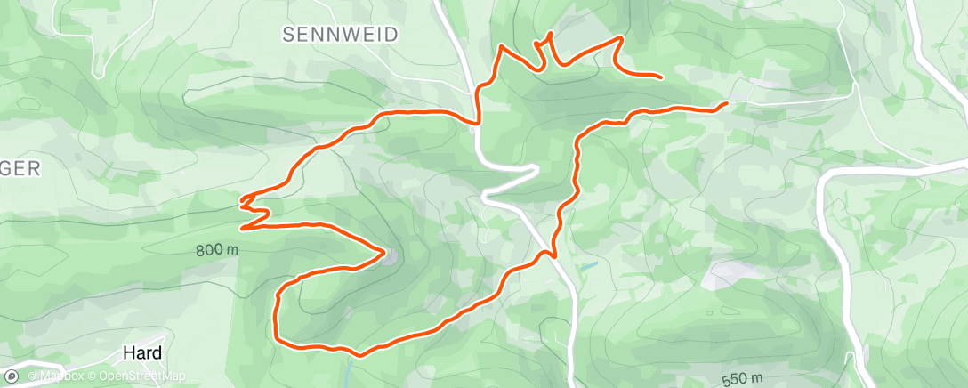 Map of the activity, Morning Run