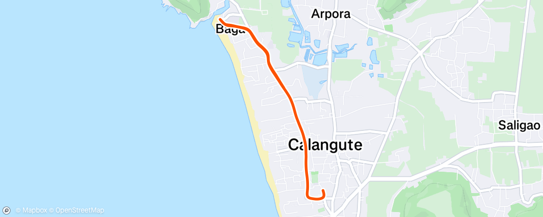 Map of the activity, Morning Run