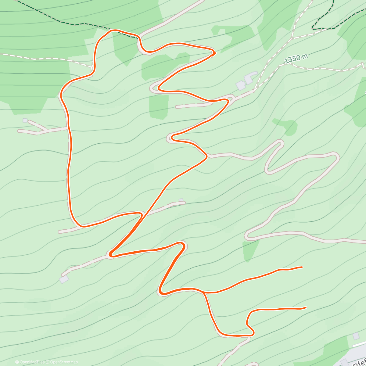 Карта физической активности (Mittagswanderung)