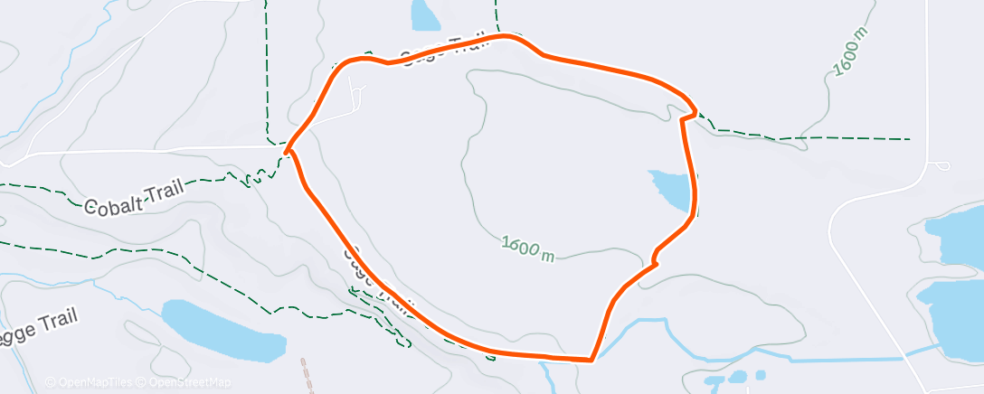 Peta aktivitas, New Year’s Day walk!