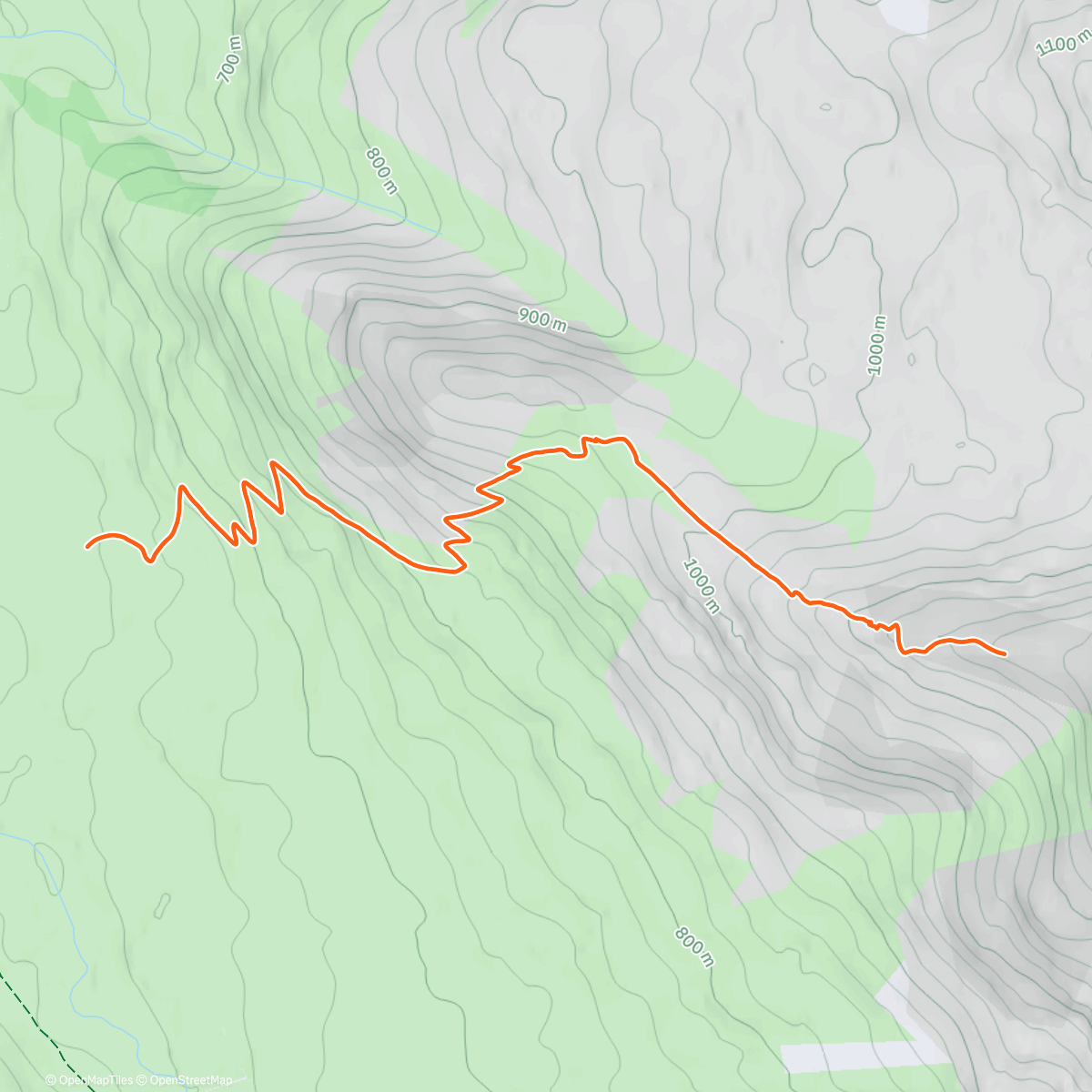 Map of the activity, Forgot to restart strava