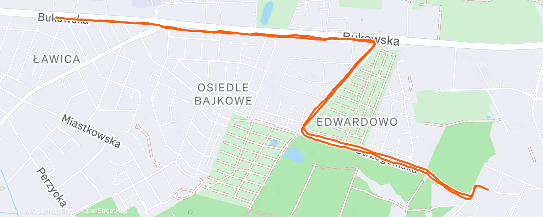 Map of the activity, Дневной забег