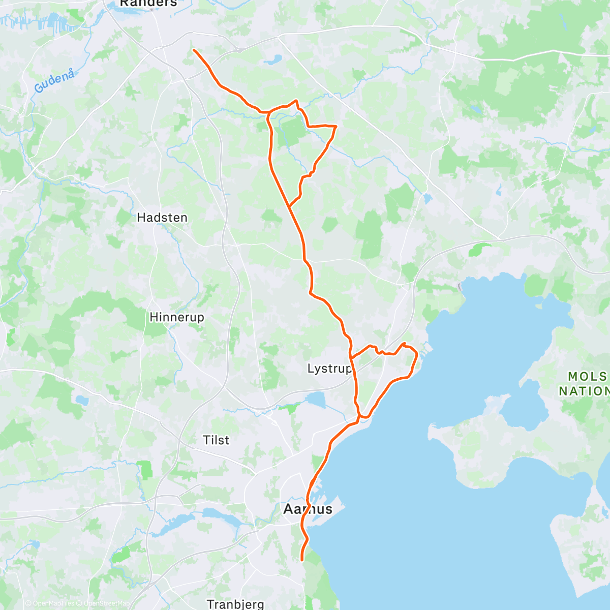 Map of the activity, Efforts fuelled by Christmas Dinner🎄