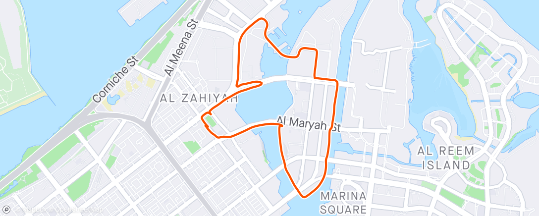 Map of the activity, Morning Run