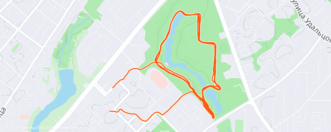 Карта физической активности (Afternoon Run)