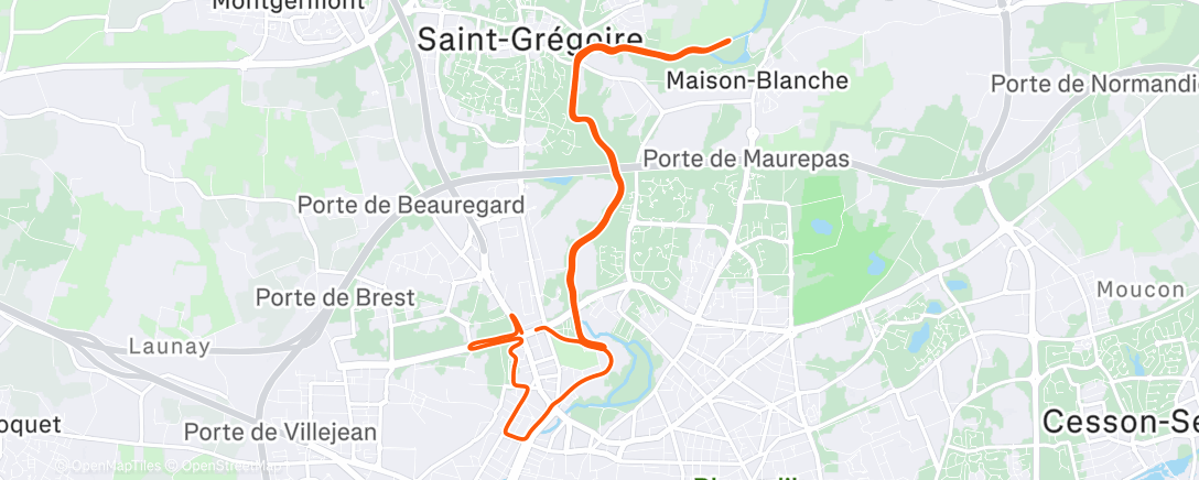 Map of the activity, Morning Run