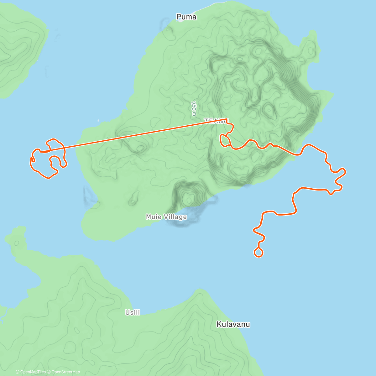 Карта физической активности (Zwift - Volcano Circuit in Watopia)