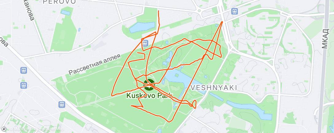 Map of the activity, 22.05.2025 вечером в Кусково