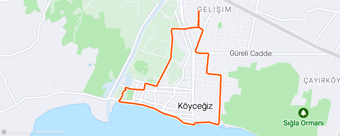Map of the activity, Köyceğiz