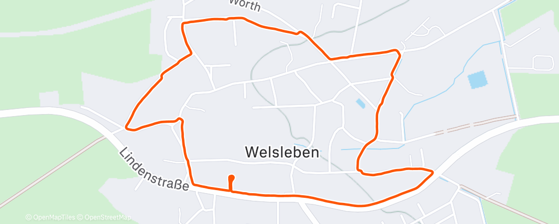 Карта физической активности (Mittagspaziergang)