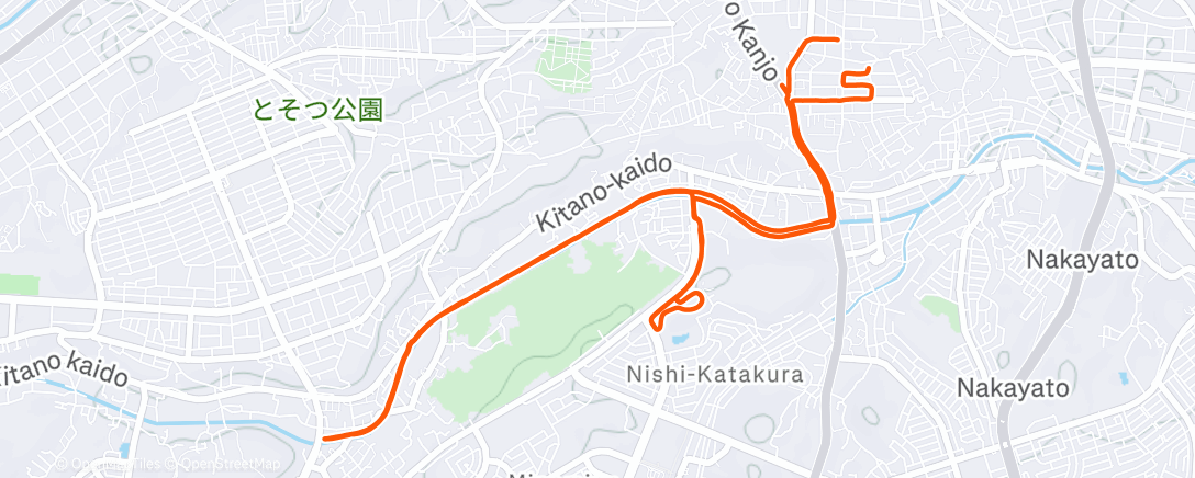 Map of the activity, Morning Run