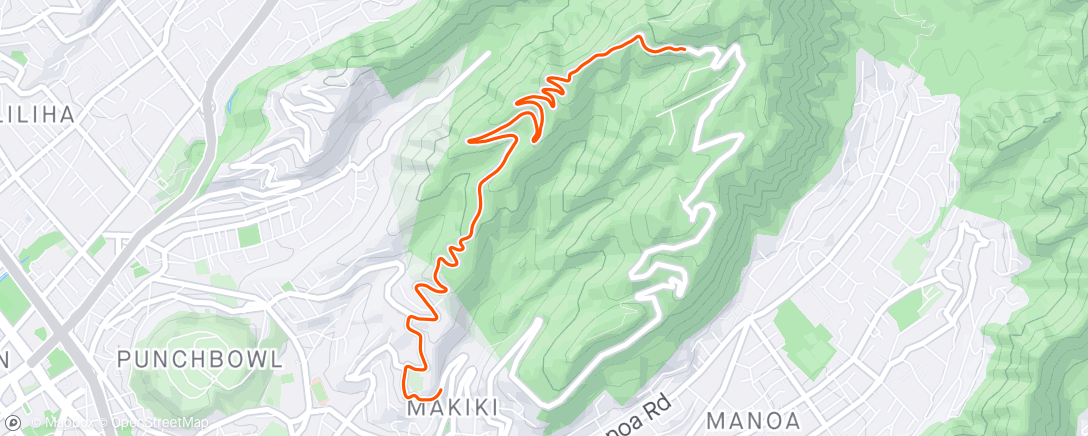 Map of the activity, Tantalus Time Trial. Rainy and never got a rhythm. But I should have won “who wore it best” for my floppy-rain-jacket-on-skinsuit ensemble