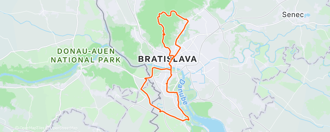 Карта физической активности (Lunch Ride)