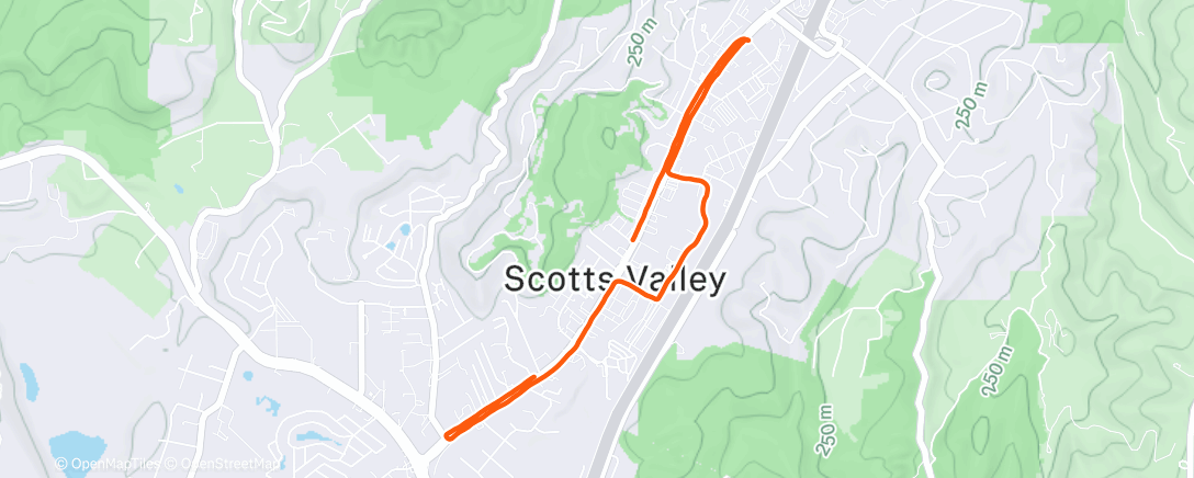 Карта физической активности (Lunch Run)