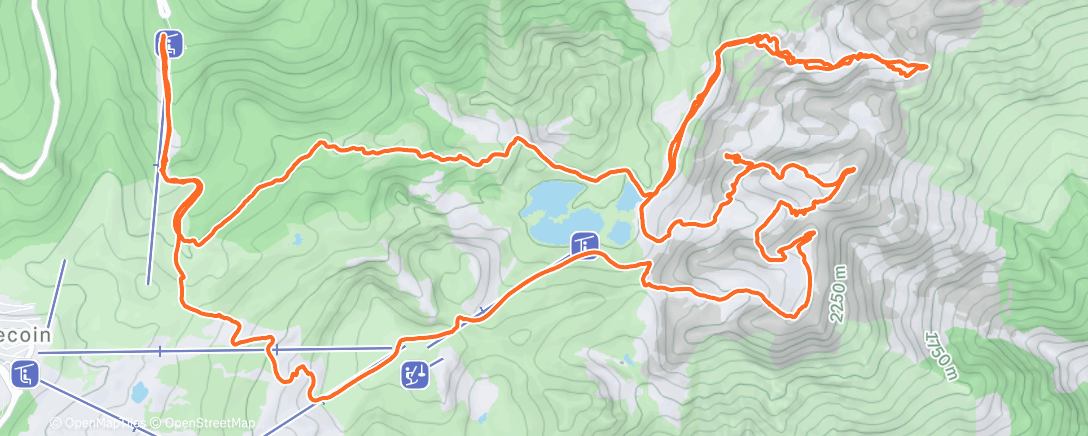 Карта физической активности (Skimo #9 - Tricotage à Chamrousse)