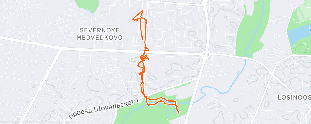 Карта физической активности (Вечерняя прогулка)