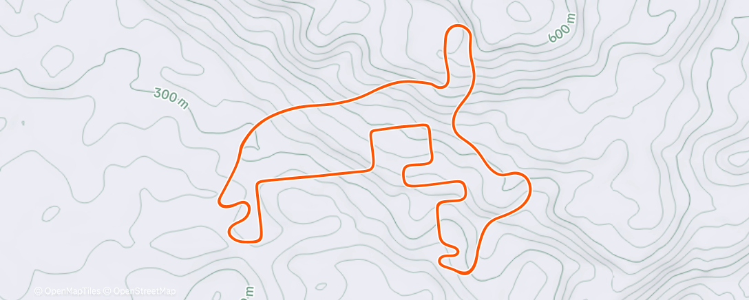 Map of the activity, 🧱1/2