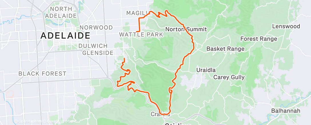 Карта физической активности (Wet Bandits)