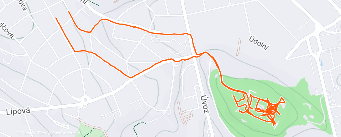 Карта физической активности (Afternoon Walk)