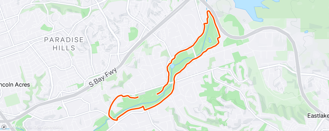 Map of the activity, Morning Run