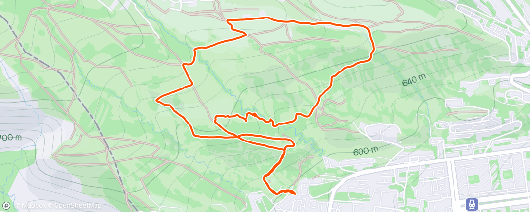 Map of the activity, Walking 🥾⛰️🌲 with Niki