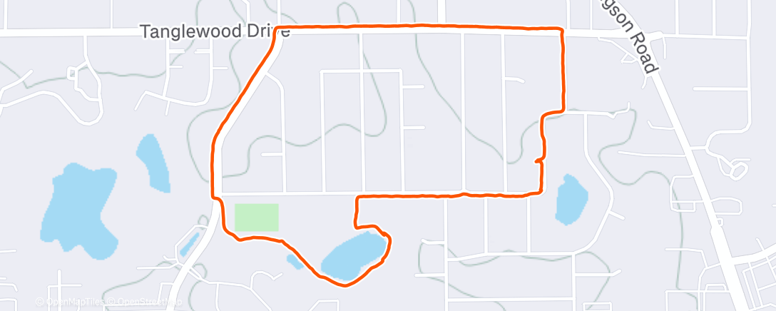 Карта физической активности (Afternoon Walk)