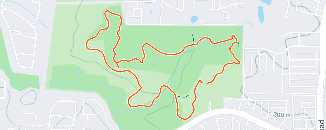 Карта физической активности (Lunch Run)