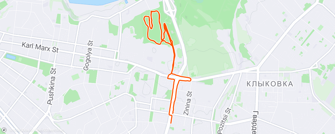 Map of the activity, Evening Run