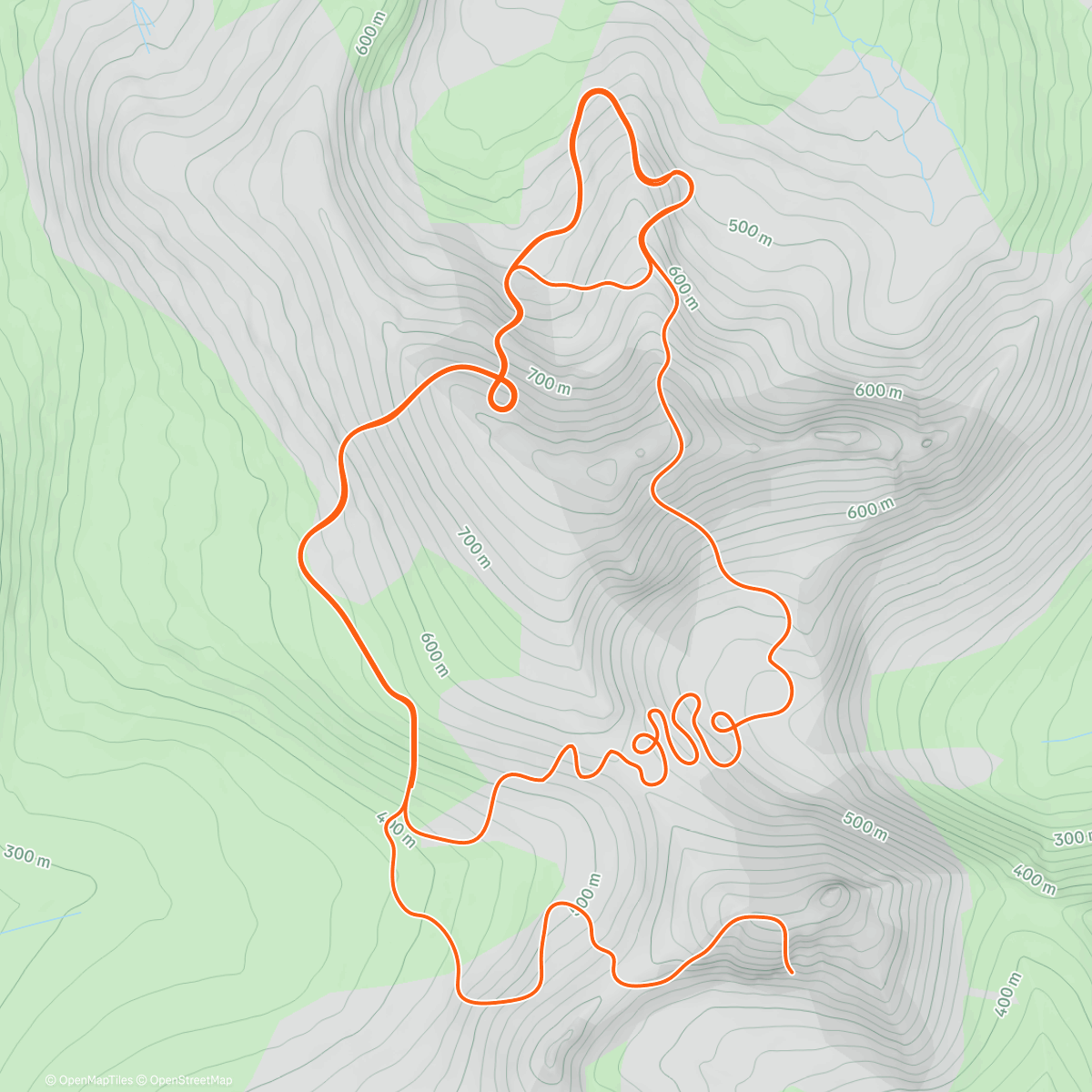 Карта физической активности (Zwift - Nick van der Lijke Zijlaard's Meetup on The Muckle Yin in Scotland)