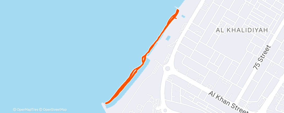 Map of the activity, Дневной забег