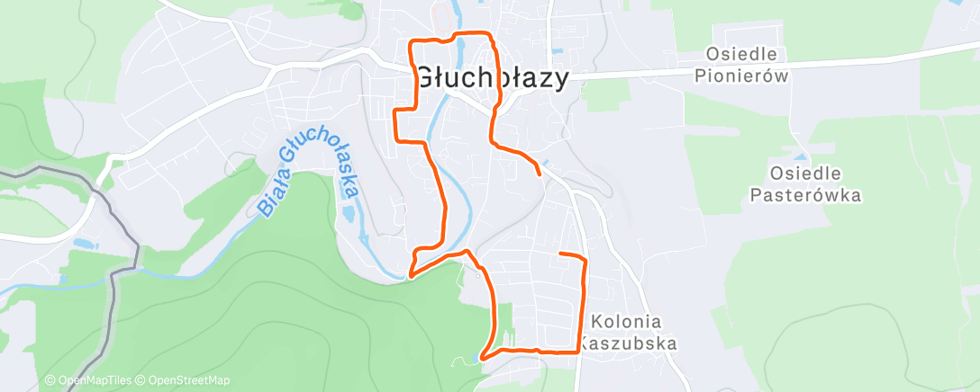 Карта физической активности (Lunch Run)