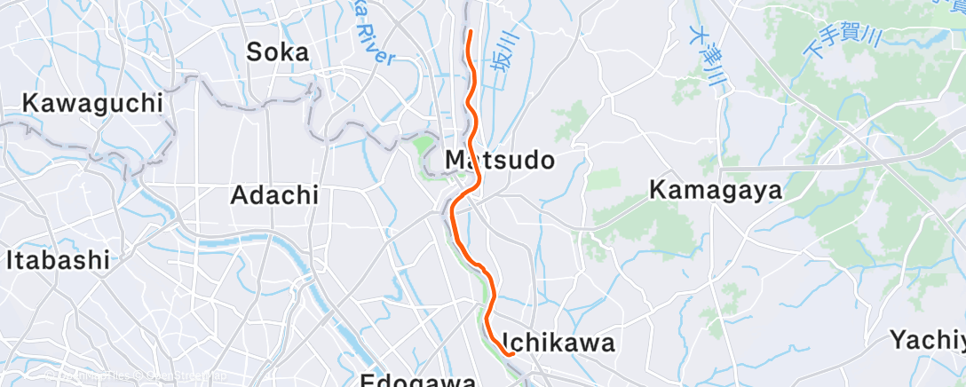 Map of the activity, Morning Run