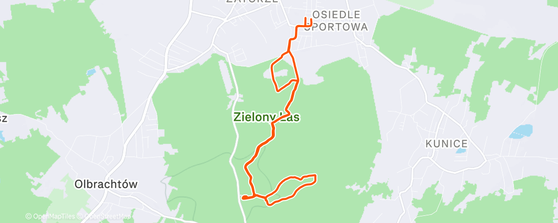 Карта физической активности (Zielony Las Trail Run ❄️)