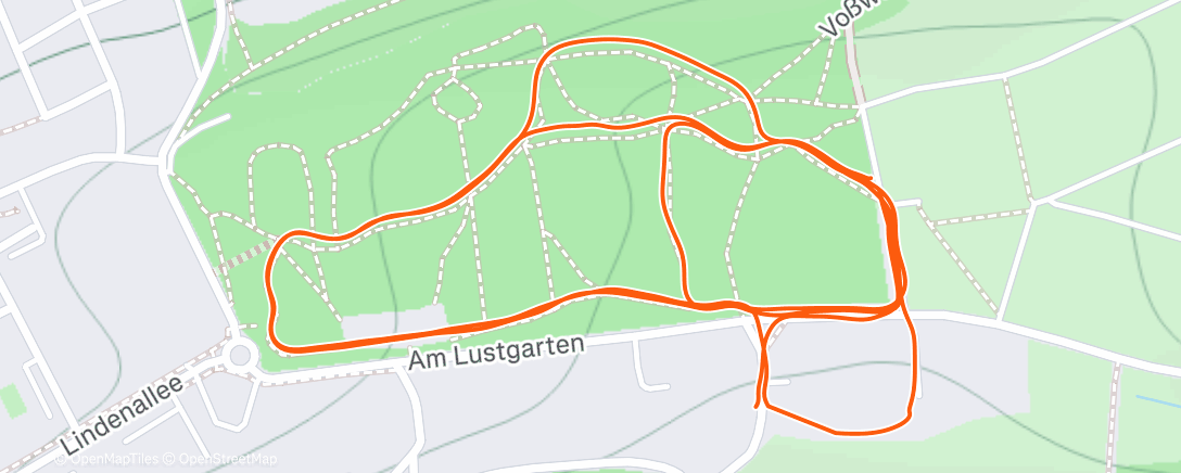 Карта физической активности (Morning Run)