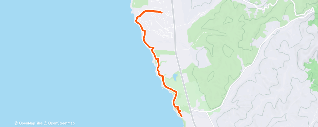 Карта физической активности (Morning Run)