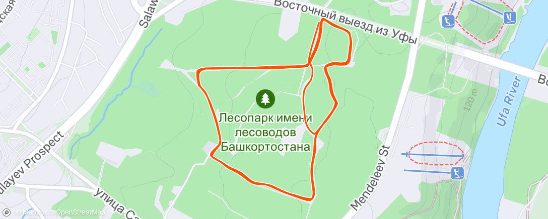 Map of the activity, Утренний забег