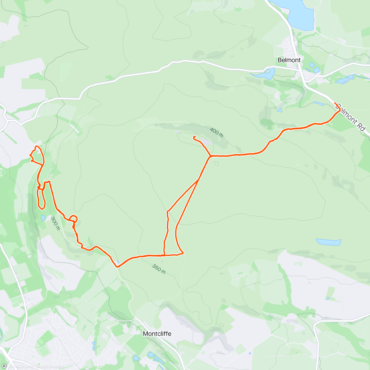 アクティビティ「Hike with Kazza」の地図