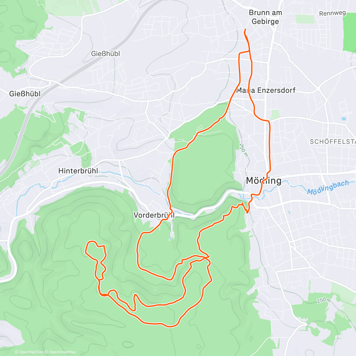 Map of the activity, Lunch Trail Run