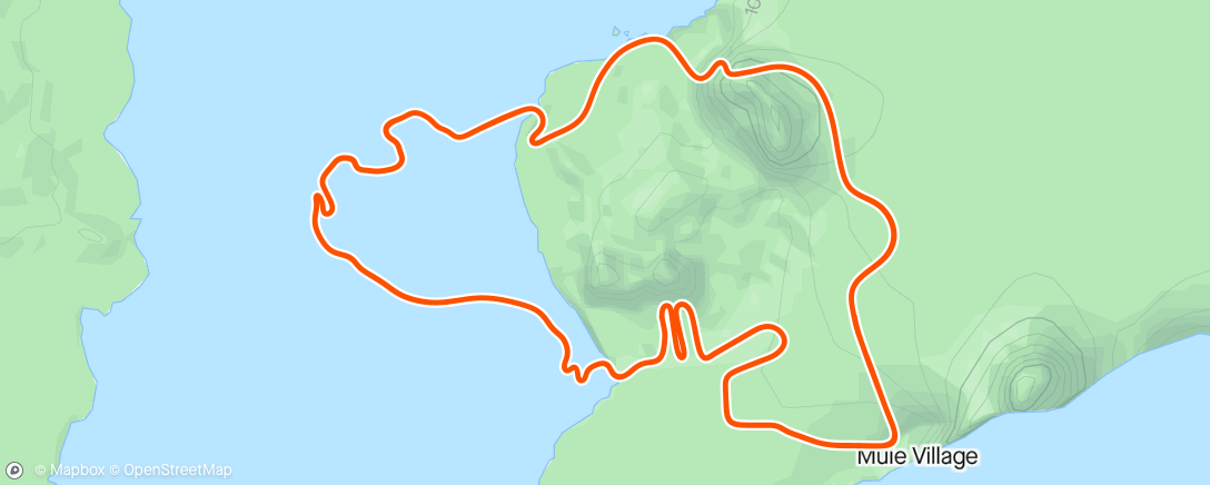 Карта физической активности (Zwift - Pacer Group Ride: Volcano Flat in Watopia with Coco)