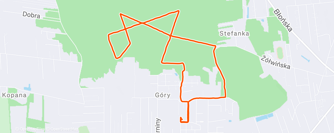 Карта физической активности (Morning Walk)